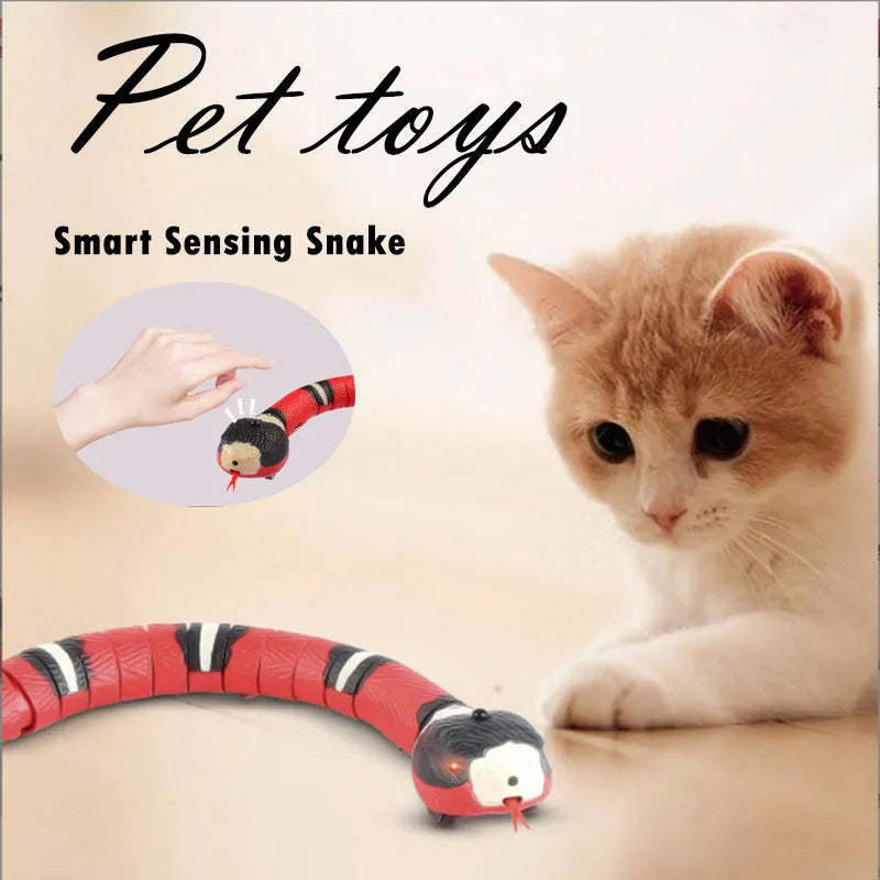 cat playing with his toys 